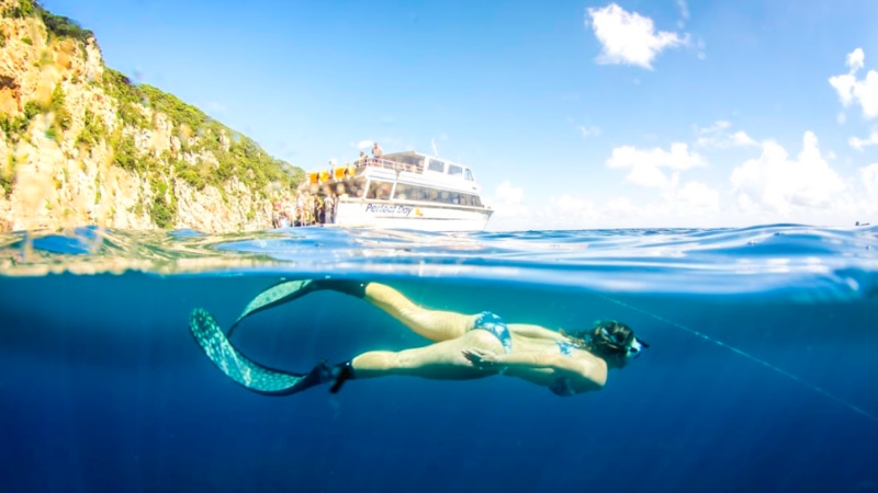 Experience a one in a lifetime world class diving adventure, suitable for all levels of ability at the world renowned Poor Knights Islands - A sacred ecological treasure trove abundant with marine and wildlife and one of the world's top 10 dive spots.